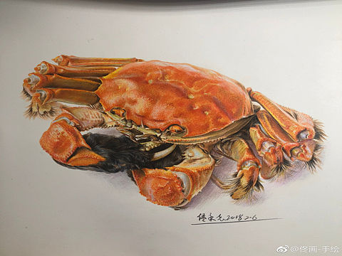 彩铅大闸蟹