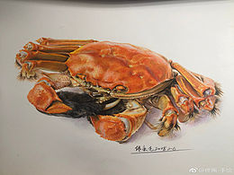 素描灵感