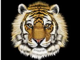 手繪 畫畫  老虎  純手繪 練習 老虎頭像