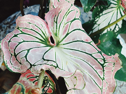 周末和日常的一些生活碎片