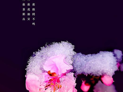 惊艳了时光