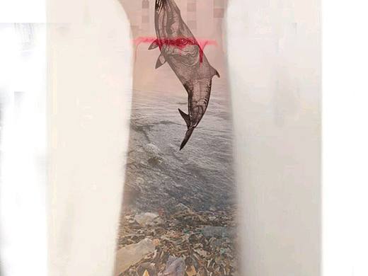 保护动物（个人主页-ZMTg1NTU5MTI=） - 宣传物料 - 站酷设计师木子李的李啊原创素材 - 站酷ZCOOL