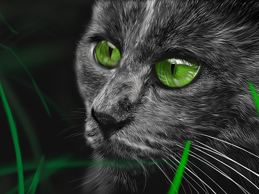 數(shù)板畫-03（個人主頁-ZNTY4MTQxNDA=） - 創(chuàng)作習作 - 站酷設計師今天心情好原創(chuàng)素材 - 站酷ZCOOL