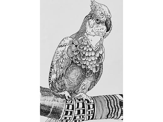 图案鹦鹉