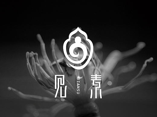 见素 VI设计