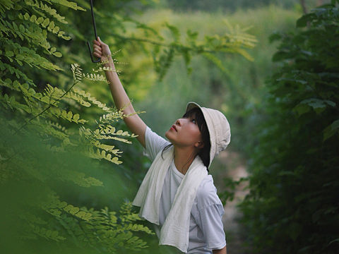little forest/小森林 