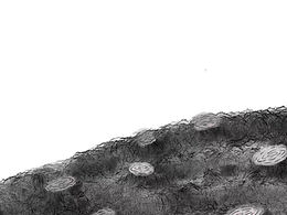 画