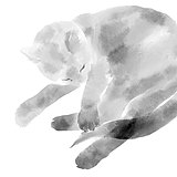 多眠Domin的头像