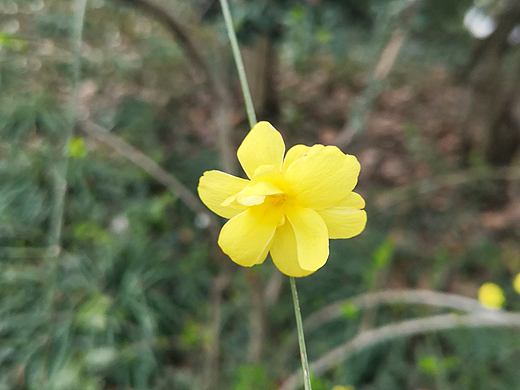 每日一拍-补拍010（个人主页-ZMzQ2OTc4MjQ=） - 风光摄影 - 站酷设计师芝草晟林原创素材 - 站酷ZCOOL