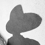 ZZW渣渣玮的头像