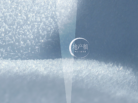 大雪节气海报 地产稿©原创海报 有精细分层源文件