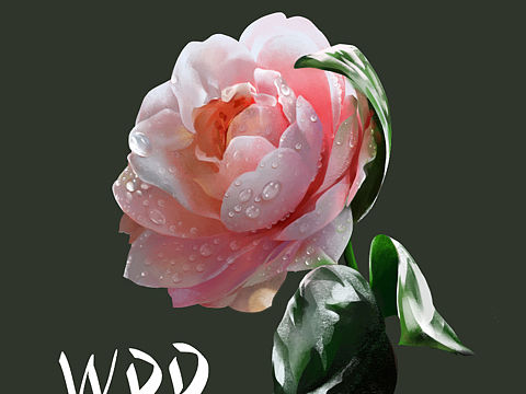 小小花（个人主页-ZMzc2NTM3NjQ=） - 艺术插画 - 站酷设计师丹丹DANDAN_原创素材 - 站酷ZCOOL