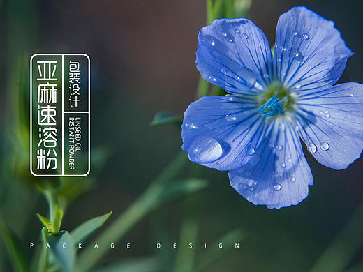 亚麻籽油速溶粉/包装设计