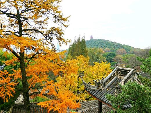 淮上有秋山