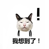 瓦坎达第一恺的头像
