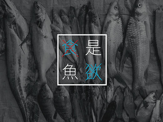 <是鱼 食欲 食鱼> 鱼文化宣传册