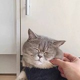 PIANO黄的头像