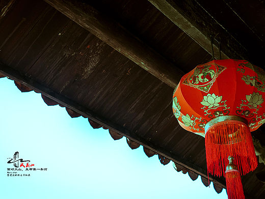 回忆中的武夷山