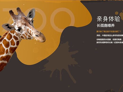 上海动物园官网改版