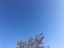 蚌院景