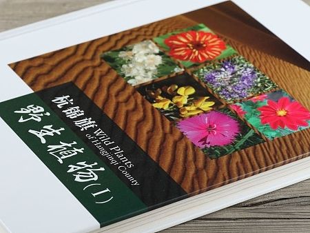 野生植物画册