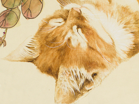 月季下睡觉的猫咪 云亮国画画猫