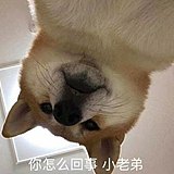 夏祭如歌的头像