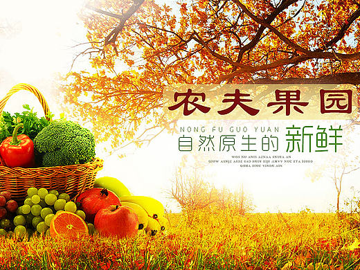 水果蔬菜banner