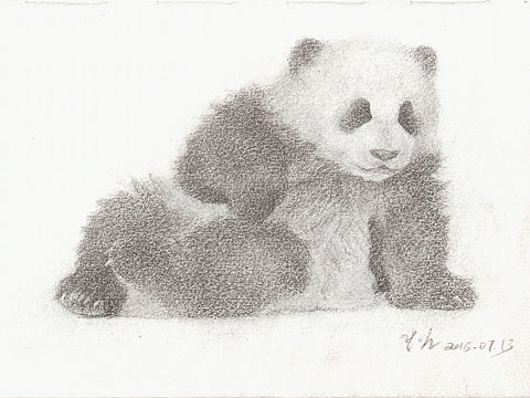 闲来无事画画玩