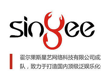 星艺网络字体设计（个人主页-ZMTYyOTI3MzY=） - 其他平面 - 站酷设计师妮在哪原创素材 - 站酷ZCOOL