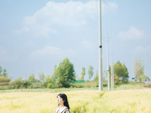 夏日的美好，是风用了心