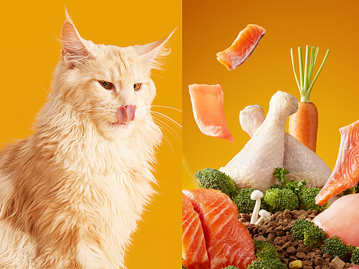 网易严选天成宠物食品三拼猫粮拍摄