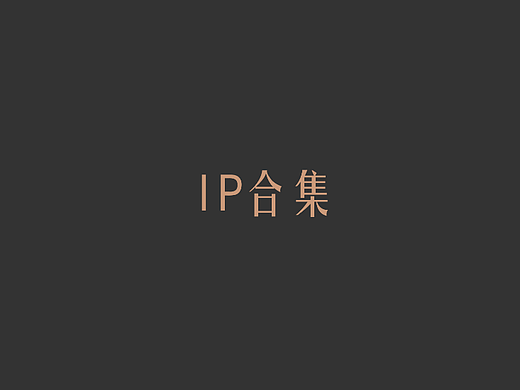 IP設計合集