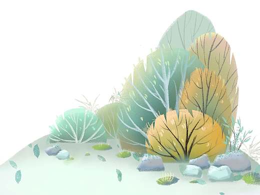 植物插画