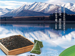 端午折页