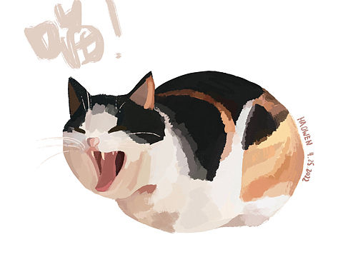 尖叫的猫猫