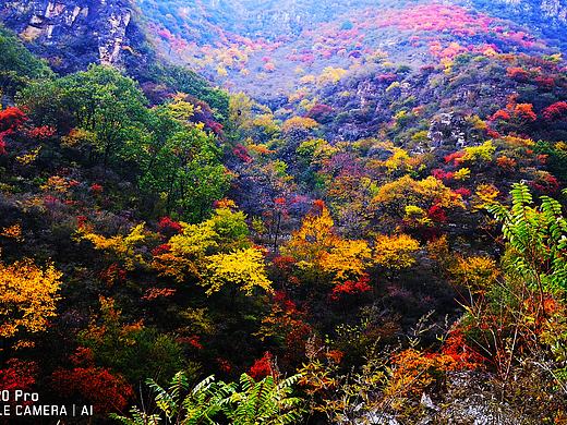 层林尽染（个人主页-ZNDI1NjI2Mjg=） - 风光摄影 - 站酷设计师荒史夜话原创素材 - 站酷ZCOOL