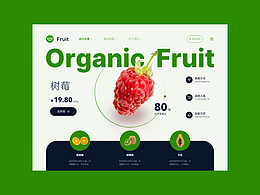 电商类着陆页设计/树莓