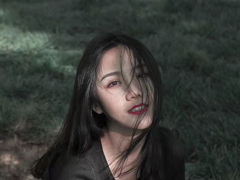 春风越吹越感伤