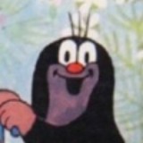 遐屿璐的头像