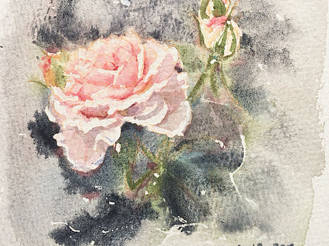 水彩花卉（个人主页-ZMjk3MDU0NzI=） - 商业插画 - 站酷设计师沉默的包几原创素材 - 站酷ZCOOL