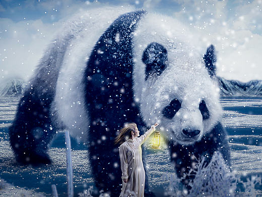 合成雪天熊猫超现实照片