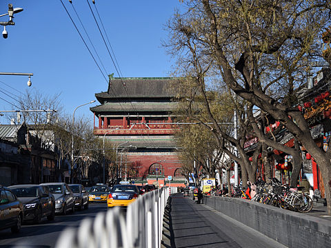 飞过去一只鸟你看到了没