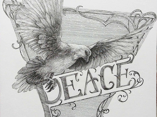 鸽-和平