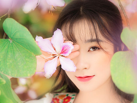 林间精灵