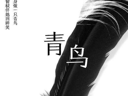 青鸟#大家来用字#（个人主页-ZMTYwMTIxODg=） - 字体/字形 - 站酷设计师Tian233原创素材 - 站酷ZCOOL