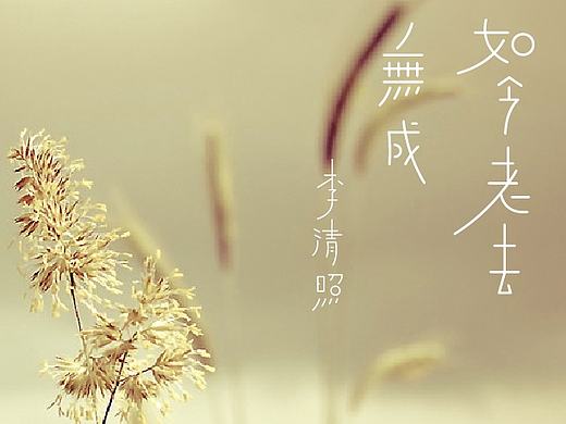 感风吟月多少事