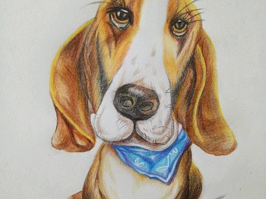 细节调整后,动物。