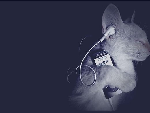 leo life（個(gè)人主頁-ZODAzMTUyOA==） - 圖標(biāo) - 站酷設(shè)計(jì)師伽利略1212原創(chuàng)素材 - 站酷ZCOOL