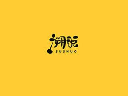 溯说logo设计